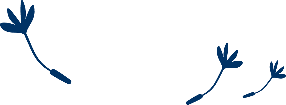 flower graphic blue