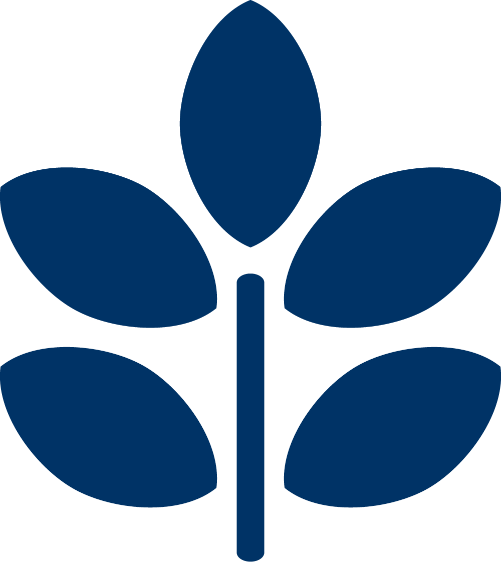 flower graphics