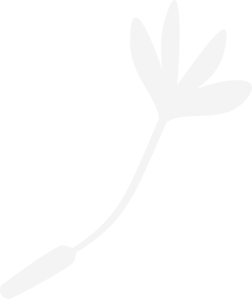 grey flower