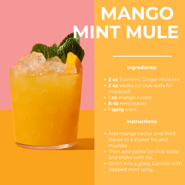 Turmeric Ginger Mule Mocktail Mix - Image 4