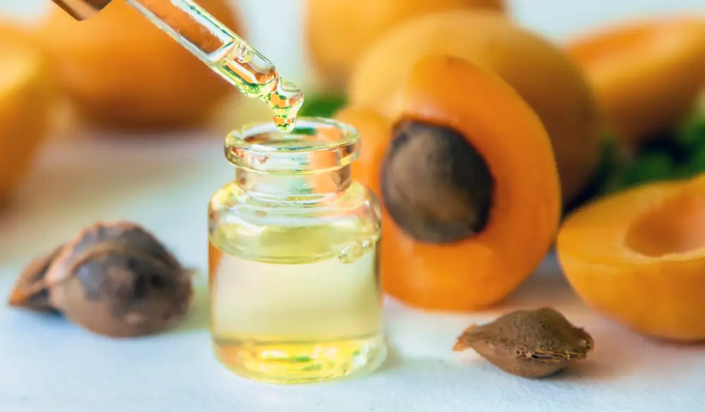 Bottle of apricot seed oil with apricot kernels and apricots – apricot kernel oil.