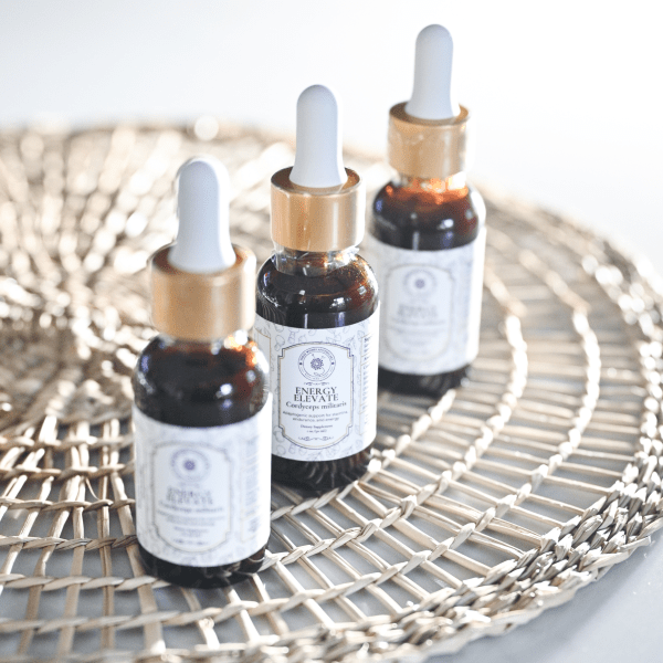 Energy Elevate- Cordyceps Tincture - Image 2