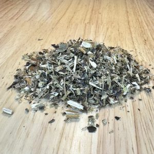 Boneset (Eupatorium perfoliatum)