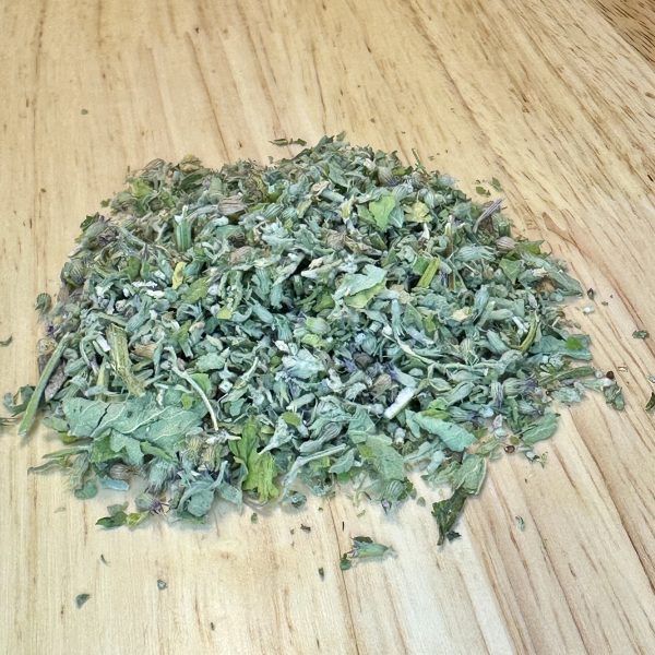Catnip (Nepeta cataria)