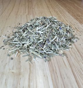 Hyssop (Hyssopus officinalis)