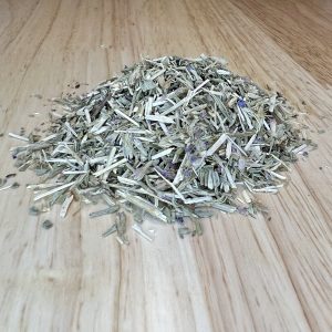 Hyssop (Hyssopus officinalis)