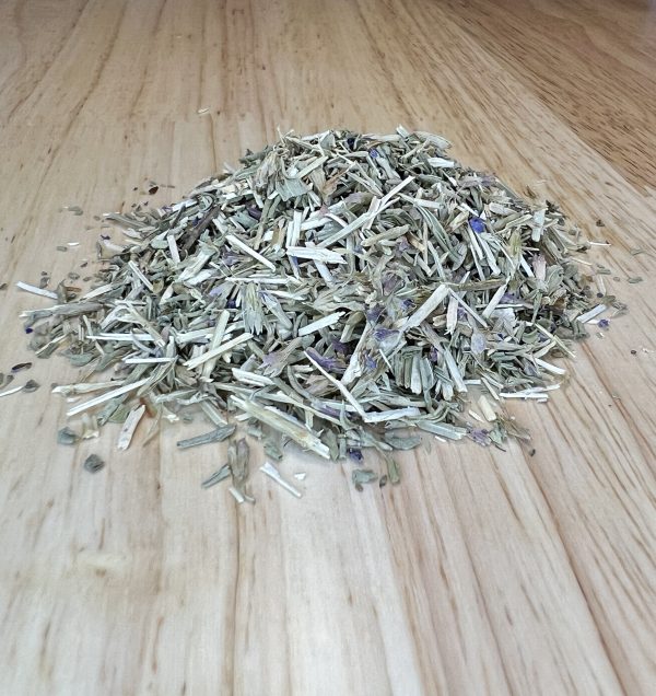Hyssop (Hyssopus officinalis)
