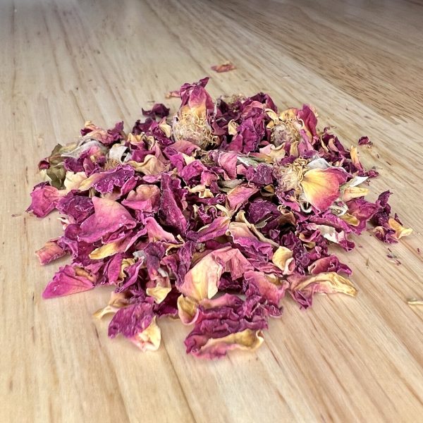 Rosebuds (Rosa centifolia)