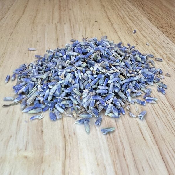 Lavender Flower (Lavandula × intermedia)