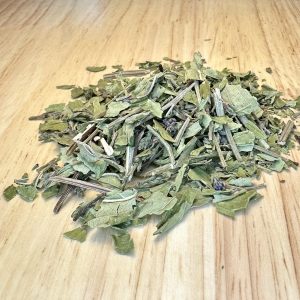 Blue Vervain (Verbena hastata)