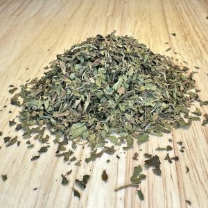 Peppermint (Mentha x piperita)