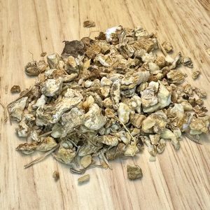 Soloman's Seal Root (Polygonatum biflorum)