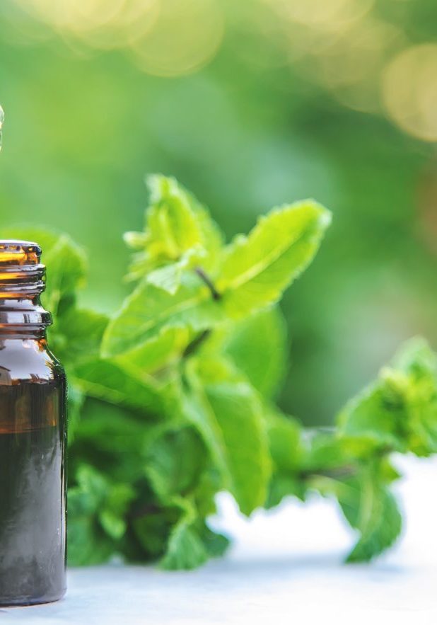 Peppermint essential oil in a small bottle. Selective focus. nature.