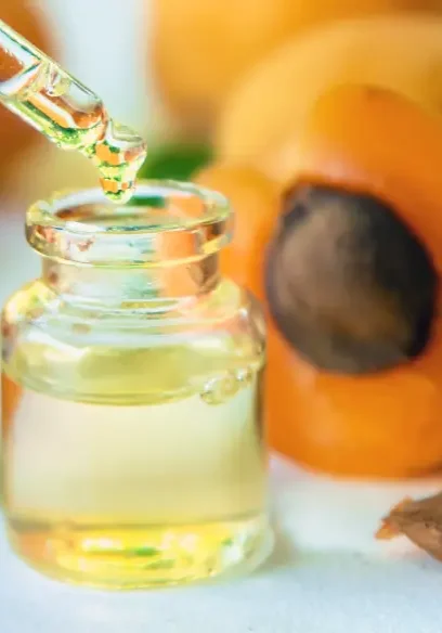 Bottle of apricot seed oil with apricot kernels and apricots – apricot kernel oil.