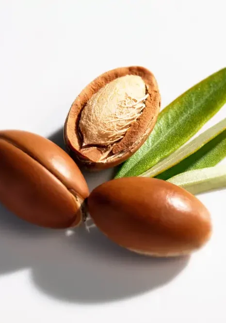 Argan oil in a clear glass bottle with raw argan nuts and kernels on a wooden background.