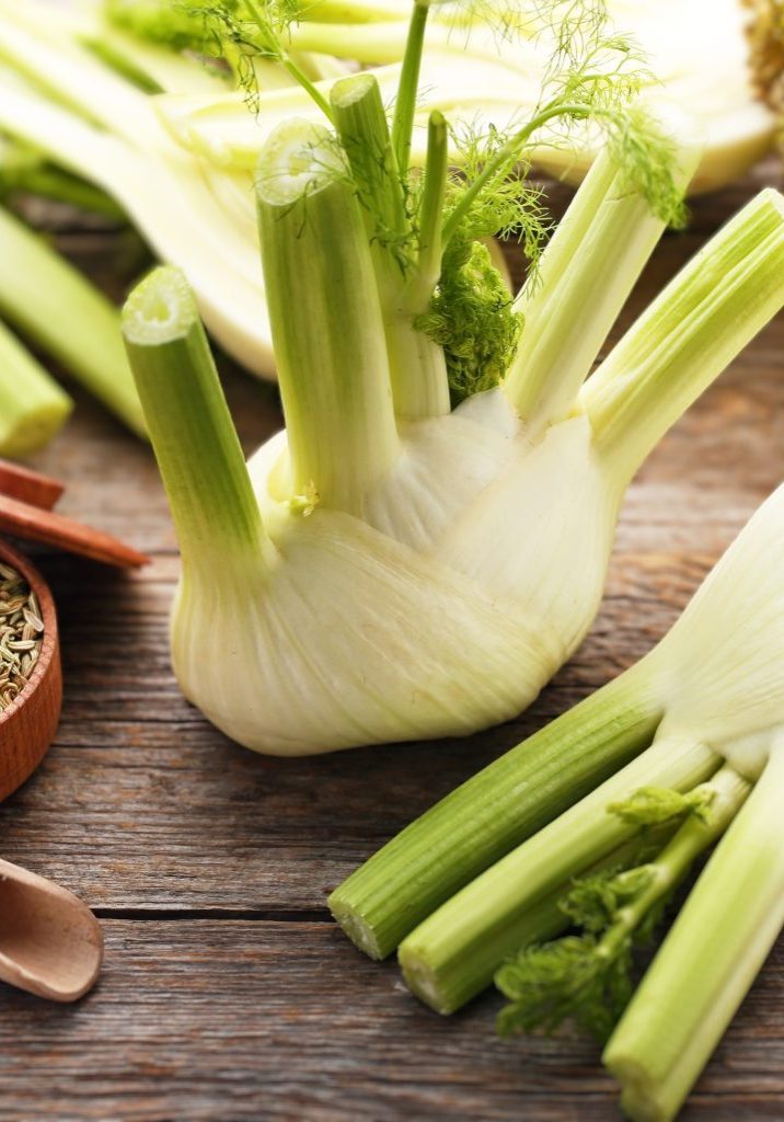 Fennel