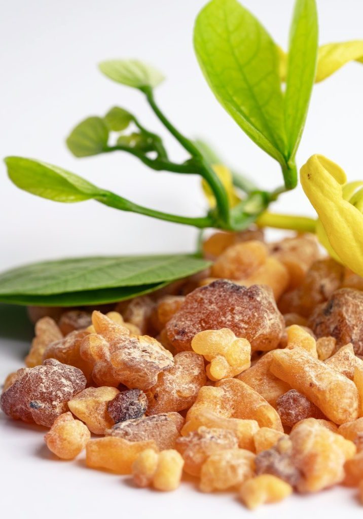 Frankincense Essential Oil