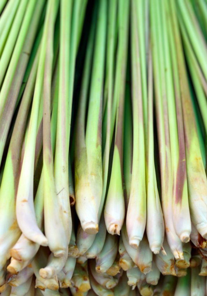 Lemongrass